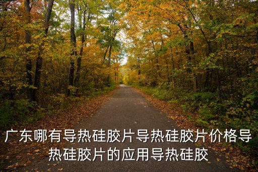 廣東哪有導熱硅膠片導熱硅膠片價格導熱硅膠片的應用導熱硅膠