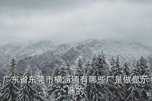 廣東省東莞市橫瀝鎮有哪些廠是做顯示器的
