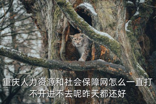 重慶人力資源和社會保障網怎么一直打不開進不去呢昨天都還好