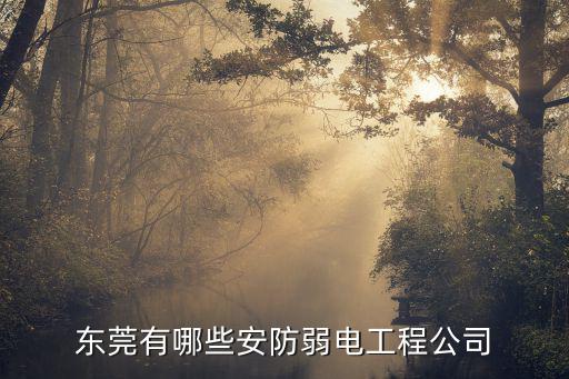 東莞有哪些安防弱電工程公司