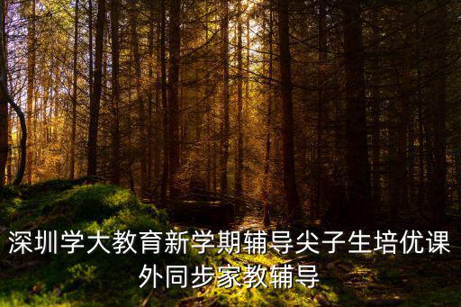 深圳學大教育新學期輔導尖子生培優課外同步家教輔導