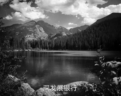 深發(fā)展銀行