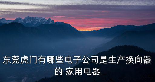 東莞佳永電器有限公司，東莞虎門有哪些電子公司是生產換向器的 家用電器