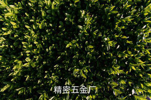 東莞聯(lián)策精密五金有限公司，精密五金模具加工廠哪里比較多