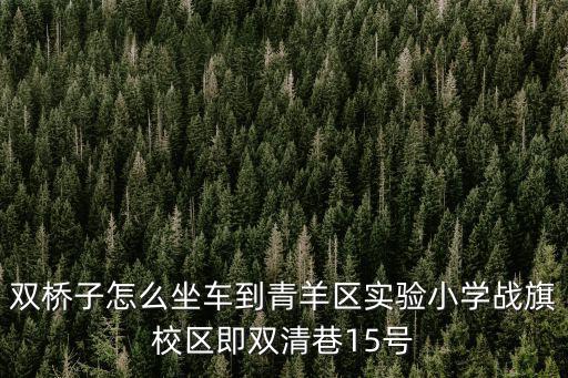 雙橋子怎么坐車到青羊區(qū)實驗小學(xué)戰(zhàn)旗校區(qū)即雙清巷15號