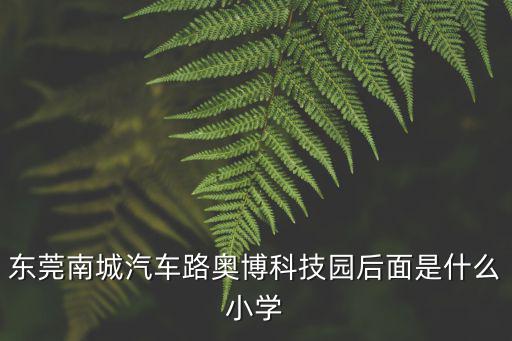東莞南城汽車路奧博科技園后面是什么小學(xué)