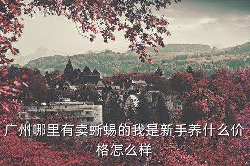 廣州那里有守宮購買，網(wǎng)上哪里買得到角蛙