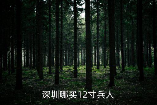 深圳哪買12寸兵人