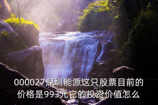 000027深圳能源這只股票目前的價格是993元它的投資價值怎么
