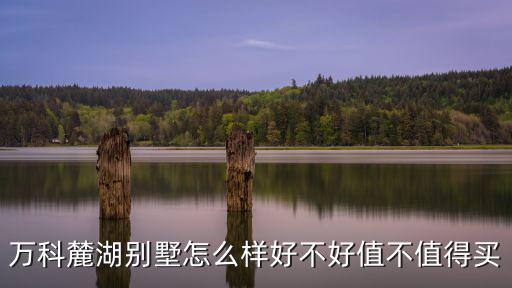 萬科東莞璞寓，請問下東莞清溪車站附近是否有個高薪科技園
