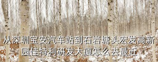 從深圳寶安汽車站到石巖塘頭宏發高新園佳特利研發大廈怎么去最近