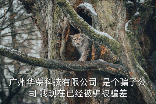 廣州華榮科技有限公司  是個騙子公司 我現在已經被騙被騙差