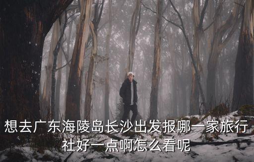 想去廣東海陵島長沙出發報哪一家旅行社好一點啊怎么看呢
