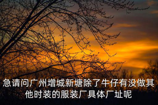 廣州領(lǐng)梵服裝有限公司，廣州市三元里大道北棠溪工業(yè)區(qū)60棟3樓是不是一間服裝公司