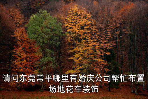 請(qǐng)問東莞常平哪里有婚慶公司幫忙布置場地花車裝飾