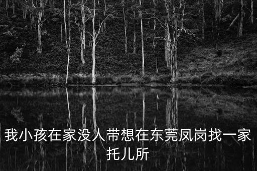 我小孩在家沒人帶想在東莞鳳崗找一家托兒所