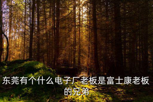 東莞有個什么電子廠老板是富士康老板的兄弟