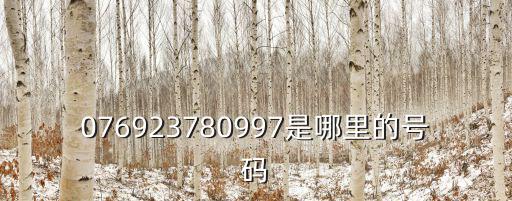 076923780997是哪里的號碼