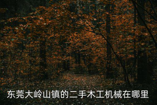 東莞大嶺山鎮(zhèn)的二手木工機(jī)械在哪里