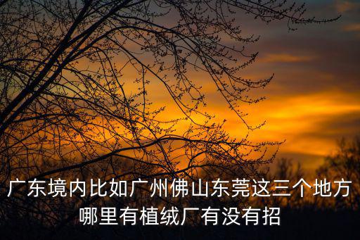 廣東境內比如廣州佛山東莞這三個地方哪里有植絨廠有沒有招
