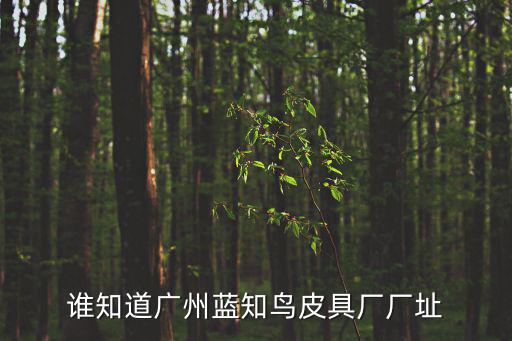 誰知道廣州藍(lán)知鳥皮具廠廠址