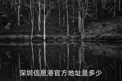 深圳信息港官方地址是多少