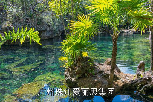 廣州珠江愛(ài)麗思集團(tuán)
