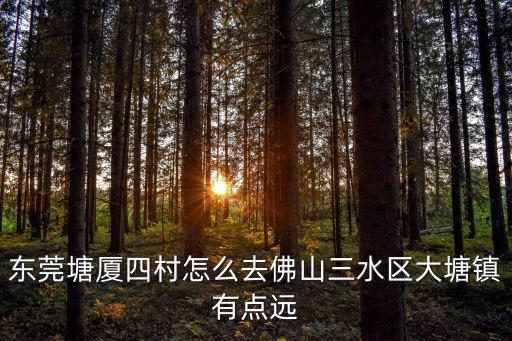 東莞塘廈到佛山三水，從塘廈到佛山三水有什么車