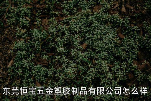 東莞恒寶五金塑膠制品有限公司怎么樣