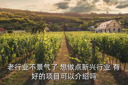老行業不景氣了 想做點新興行業 有好的項目可以介紹嗎