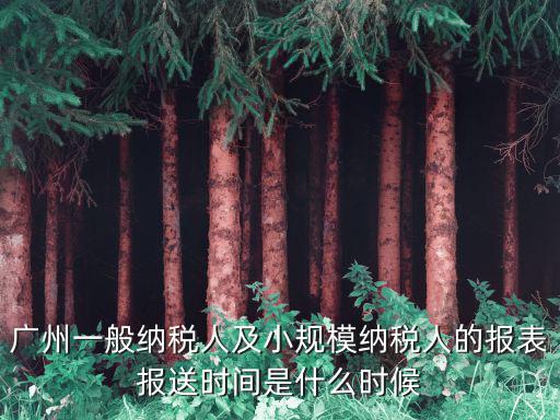 廣州一般納稅人及小規(guī)模納稅人的報(bào)表報(bào)送時(shí)間是什么時(shí)候