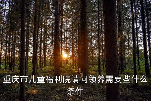 重慶市孤兒院領(lǐng)養(yǎng)，重慶市兒童福利院請(qǐng)問(wèn)領(lǐng)養(yǎng)需要些什么條件