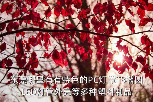 東莞哪里有有特色的PC燈罩T8橢圓LED燈管外殼等多種塑料制品