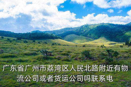 廣州佳義物流有限公司，誰知道從廣州到湖北的物流公司介紹一個
