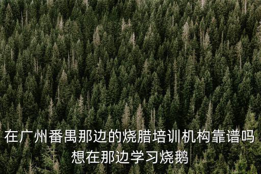 在廣州番禺那邊的燒臘培訓機構靠譜嗎想在那邊學習燒鵝