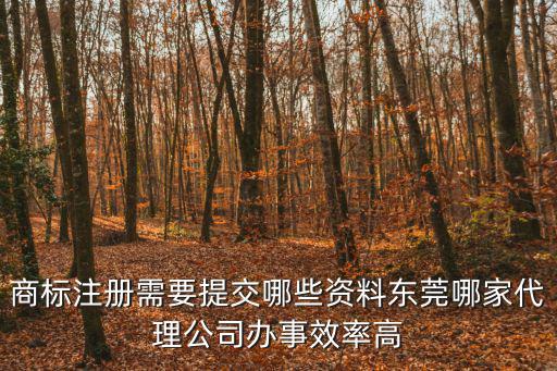 商標注冊需要提交哪些資料東莞哪家代理公司辦事效率高