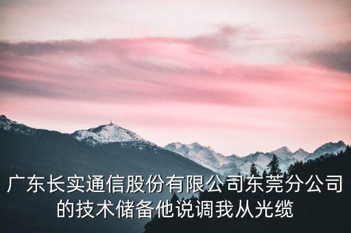 東莞小娛網絡科技有限公司，東莞有什么靠譜的網站建設公司我新開了一家公司
