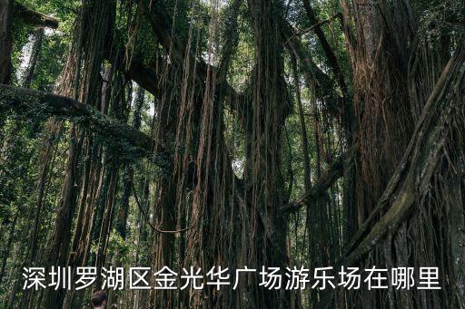 深圳金華光廣場，深圳羅湖車站到金光華廣場怎么走坐什么公交車