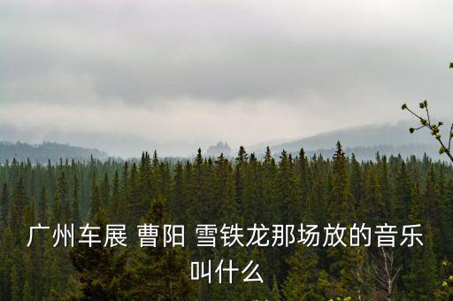 廣州車展 曹陽 雪鐵龍那場放的音樂叫什么