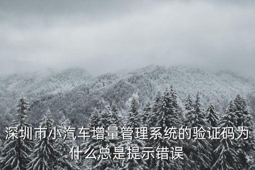 深圳市小汽車增量管理系統的驗證碼為什么總是提示錯誤
