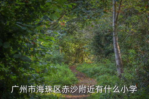 廣州市海珠區(qū)赤沙附近有什么小學(xué)