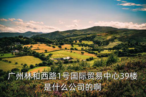 廣州市維德貿(mào)易有限公司，廣州哪里是賣法拉利和瑪莎拉蒂的
