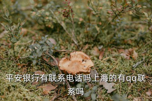 平安銀行有聯系電話嗎上海的有qq聯系嗎