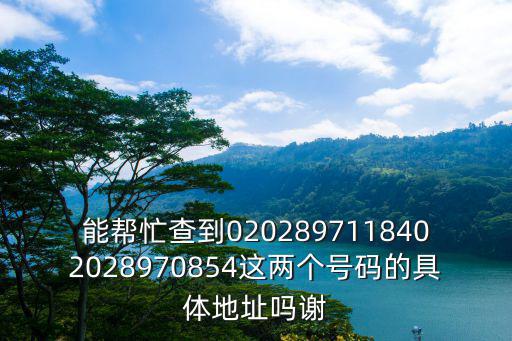 能幫忙查到0202897118402028970854這兩個號碼的具體地址嗎謝