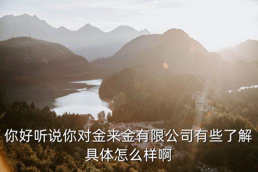 東莞金來金，你好聽說你對金來金有限公司有些了解具體怎么樣啊