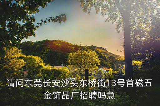 東莞市圣彩五金飾品有限公司，在東莞那里可以找到手飾合的生產廠家或者銷售的地方