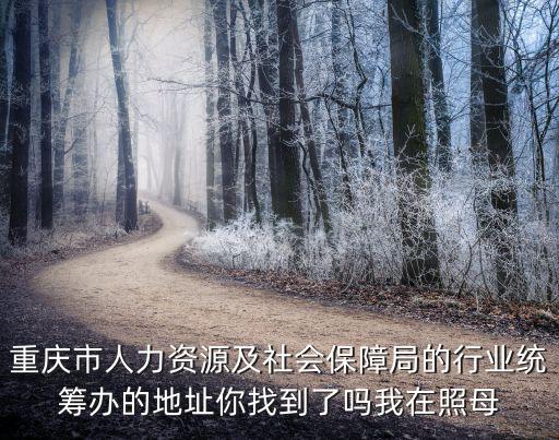 重慶市行業(yè)統(tǒng)籌辦公室地址，重慶市人力資源及社會(huì)保障局的行業(yè)統(tǒng)籌辦的地址你找到了嗎我在照母