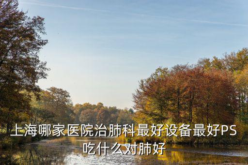 上海市肺科，上海哪家醫院治肺科最好設備最好PS吃什么對肺好