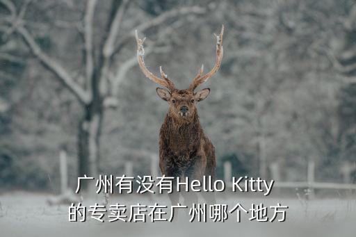 廣州有沒有Hello Kitty 的專賣店在廣州哪個地方