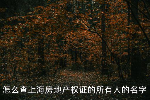 怎么查上海房地產權證的所有人的名字